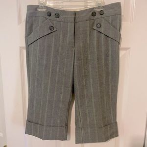 Anthropologie Taikonhu Quarter length dress pant size 10